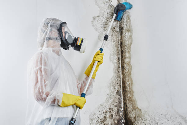 Water damage restoration mold remediation in Wetumpka, AL