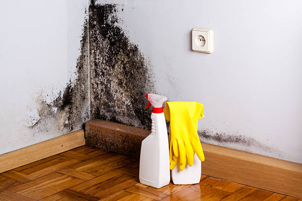 Step-by-Step Water Damage Restoration Procedure